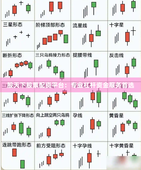 股天下股票配资平台：专业杠杆资金服务首选